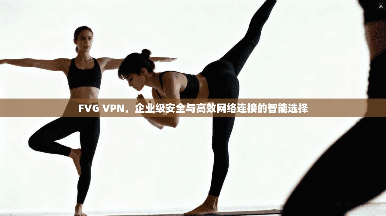 FVG VPN，企业级安全与高效网络连接的智能选择