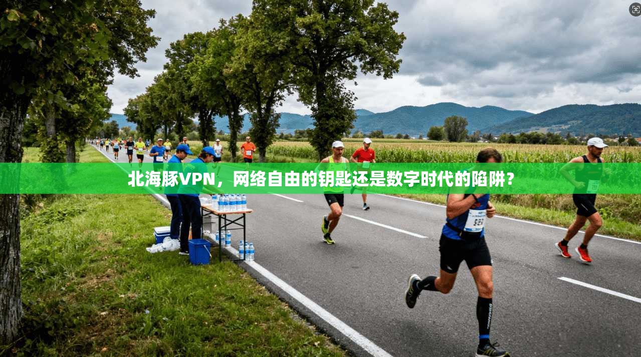 北海豚VPN,网络自由的钥匙还是数字时代的陷阱?
