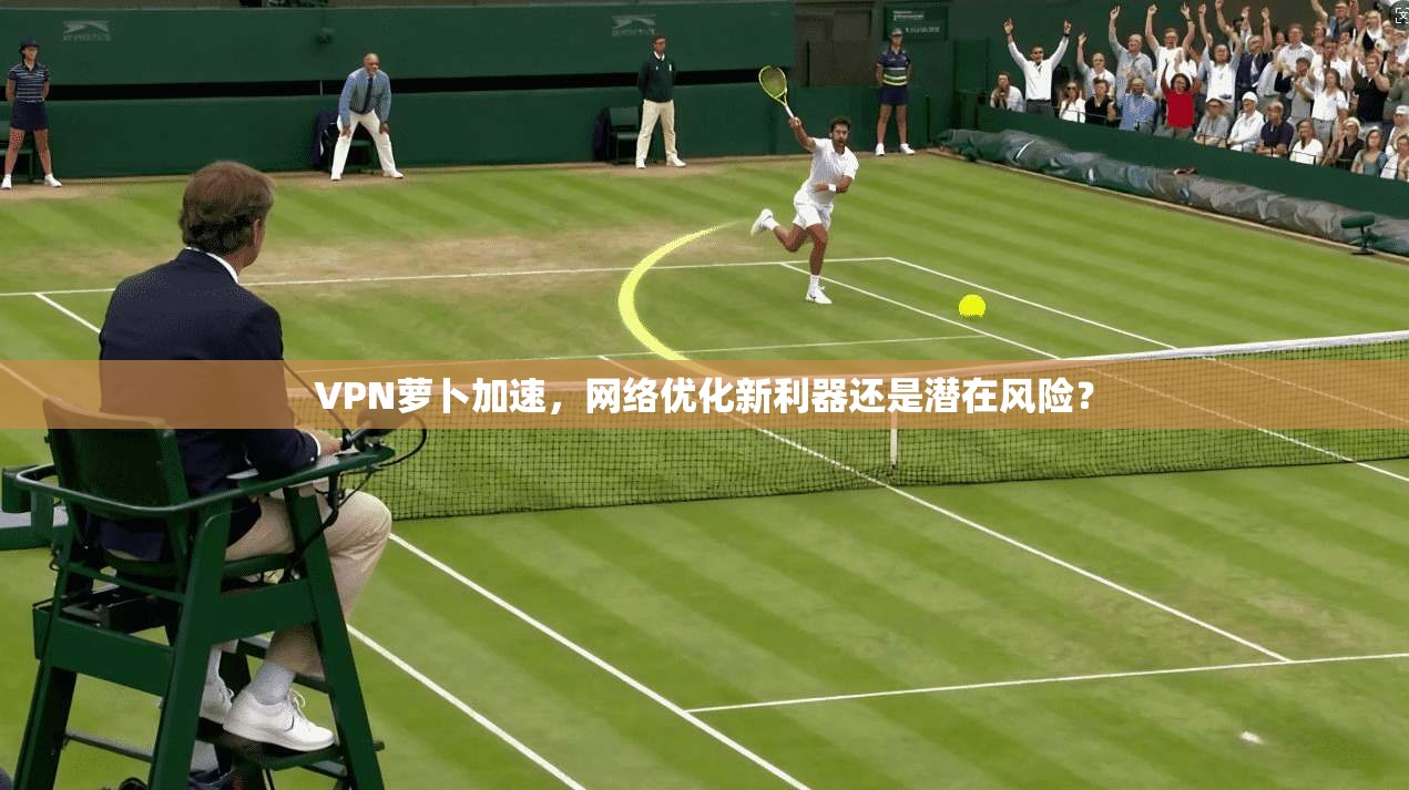 VPN萝卜加速，网络优化新利器还是潜在风险？