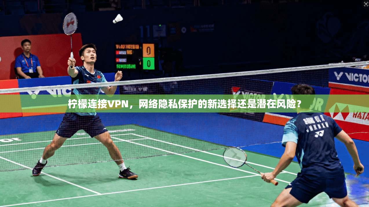 柠檬连接VPN，网络隐私保护的新选择还是潜在风险？  第1张