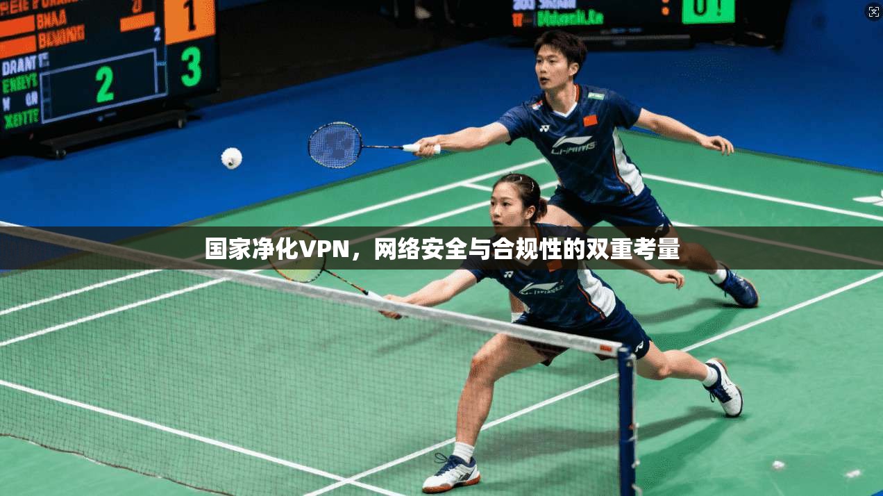 国家净化VPN,网络安全与合规性的双重考量