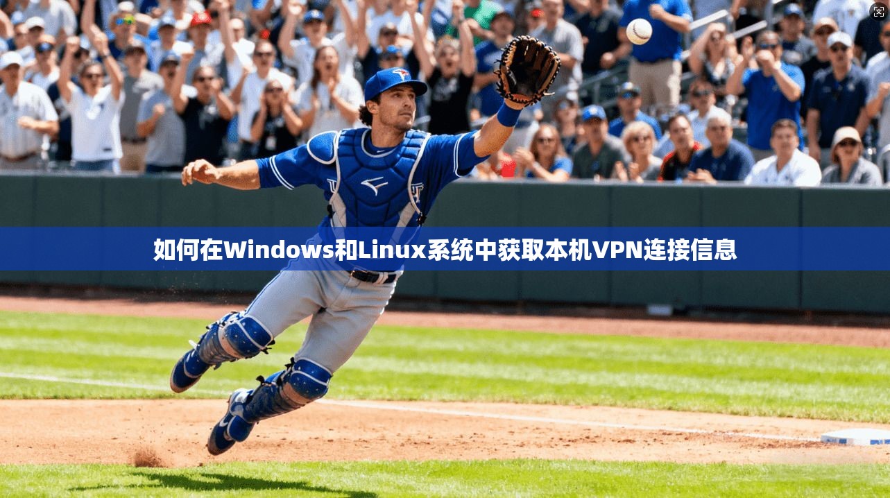 如何在Windows和Linux系统中获取本机VPN连接信息