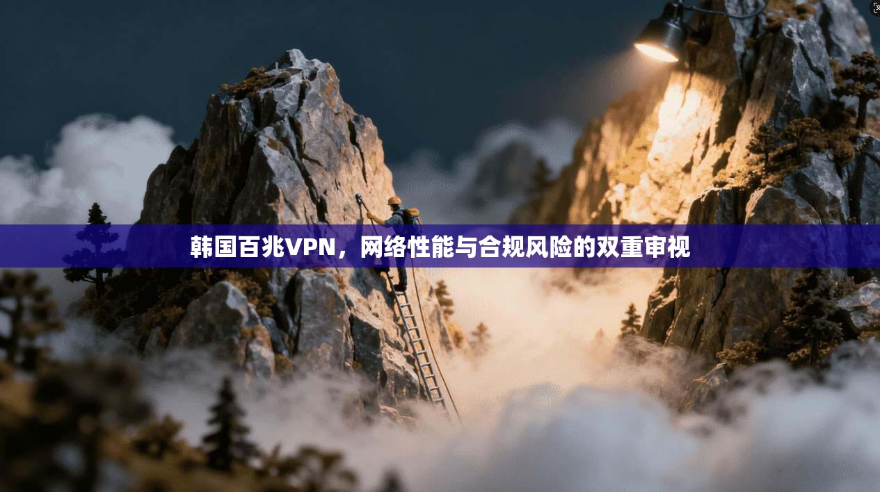 韩国百兆VPN，网络性能与合规风险的双重审视