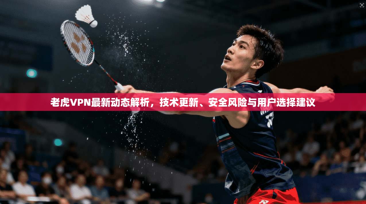 老虎VPN最新动态解析,技术更新、安全风险与用户选择建议