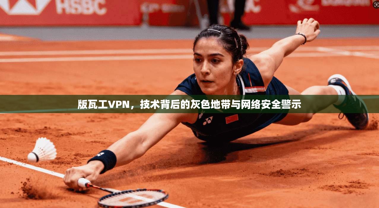版瓦工VPN，技术背后的灰色地带与网络安全警示