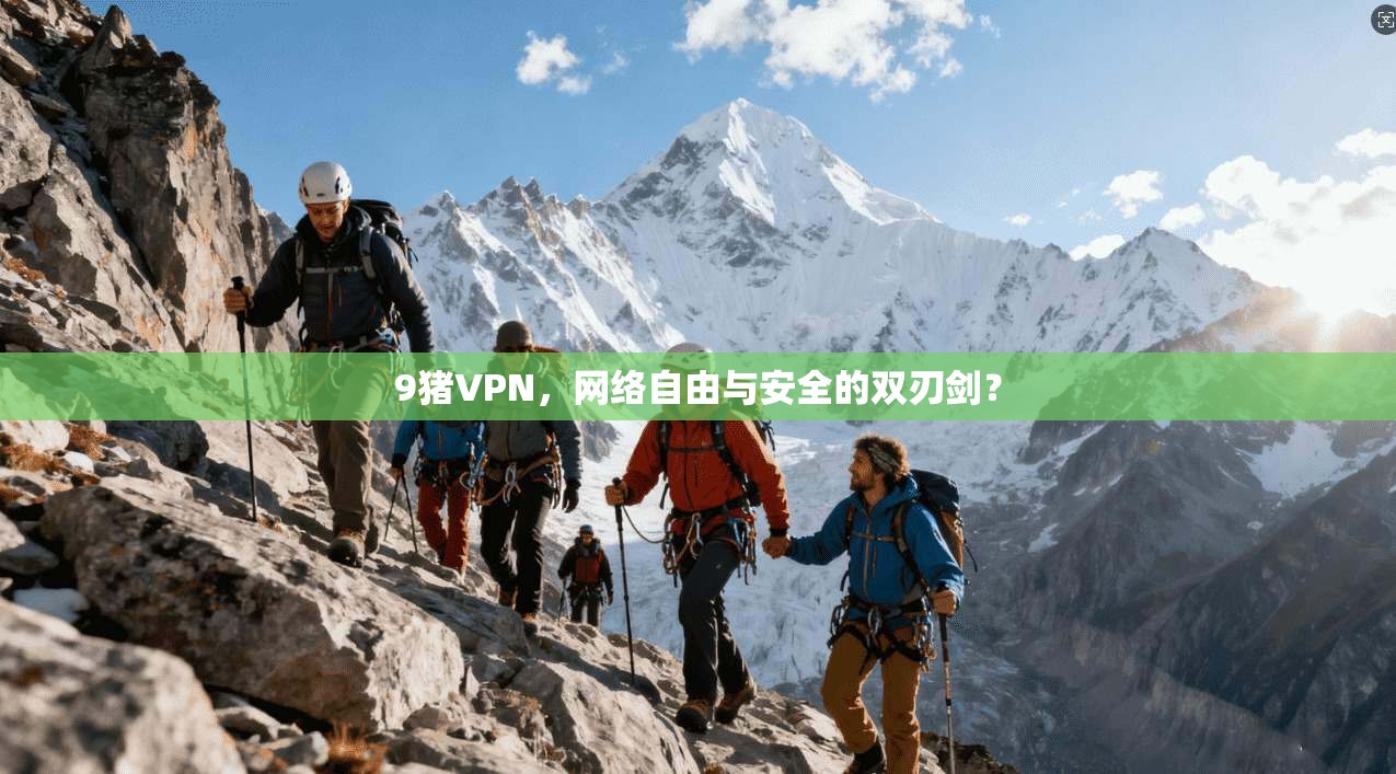 9猪VPN，网络自由与安全的双刃剑？