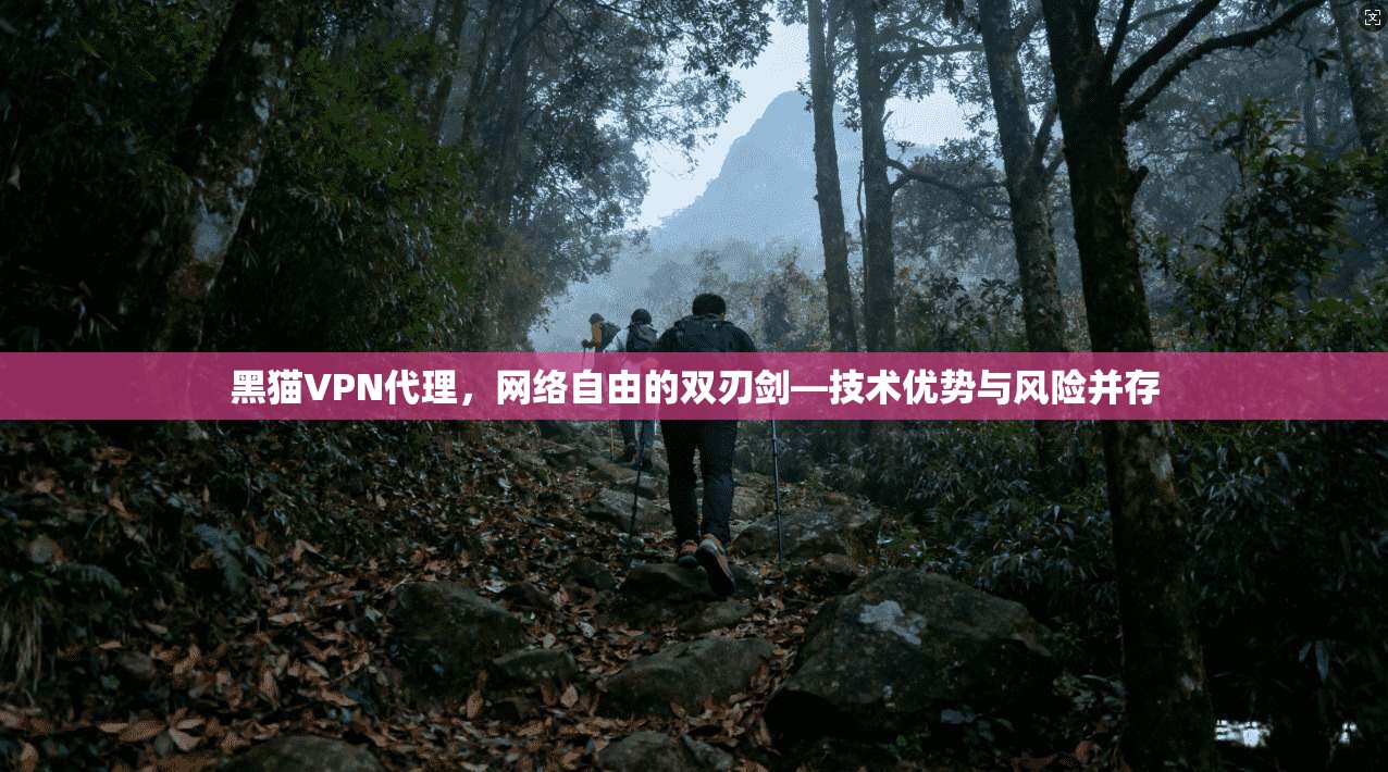 黑猫VPN代理，网络自由的双刃剑—技术优势与风险并存