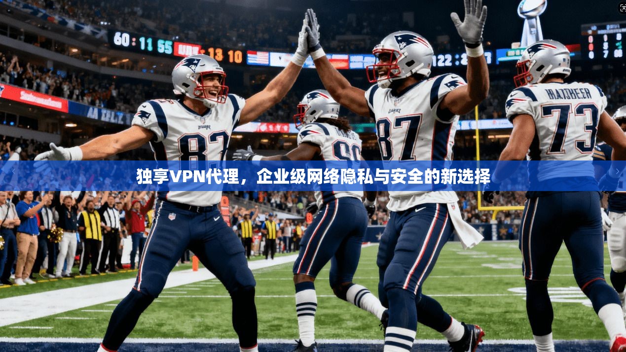 独享VPN代理，企业级网络隐私与安全的新选择