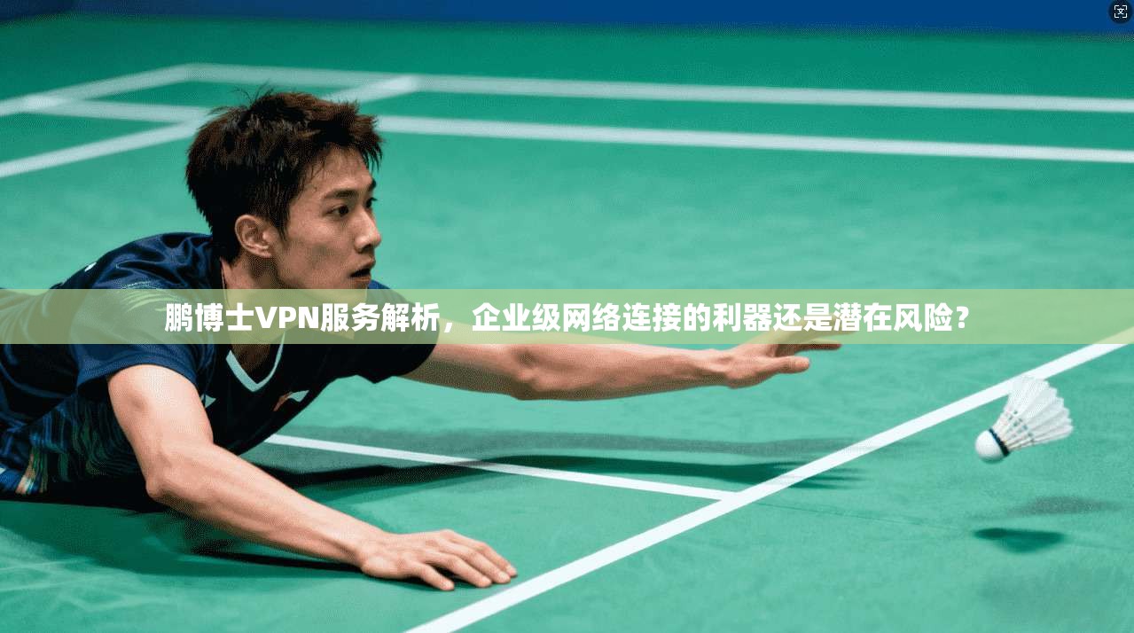 鹏博士VPN服务解析，企业级网络连接的利器还是潜在风险？