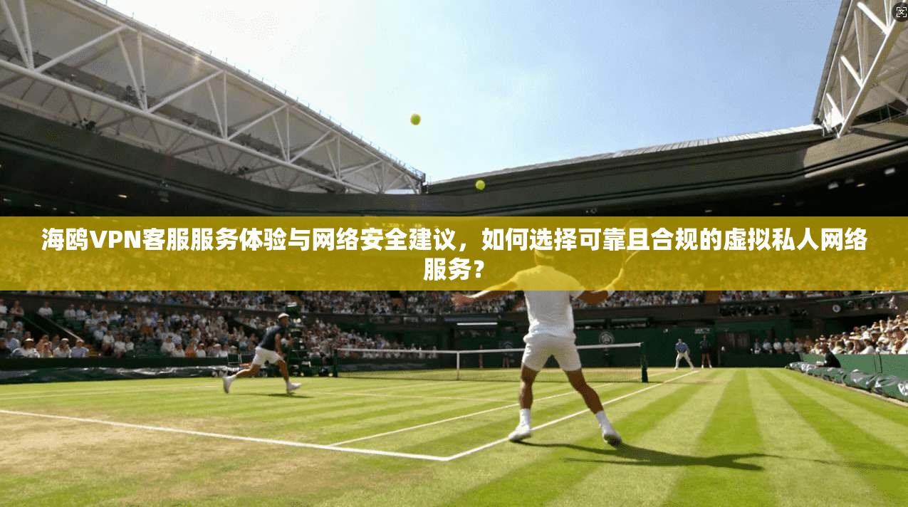 海鸥VPN客服服务体验与网络安全建议，如何选择可靠且合规的虚拟私人网络服务？