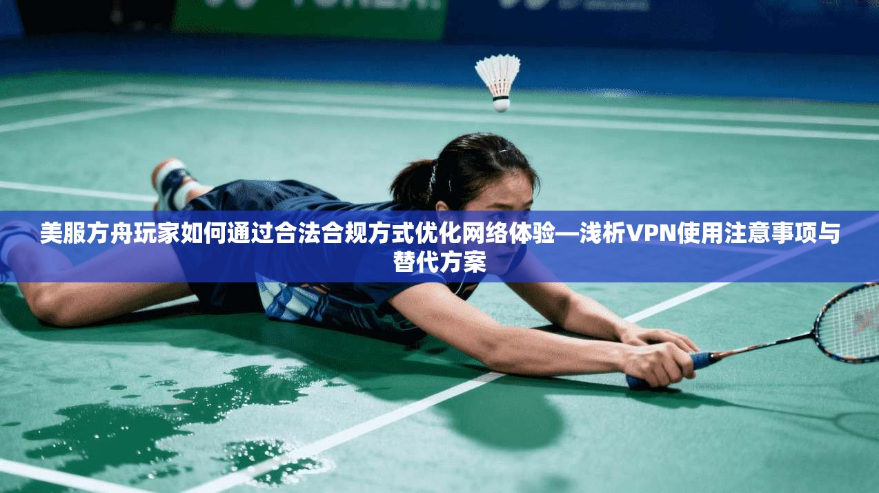 美服方舟玩家如何通过合法合规方式优化网络体验—浅析VPN使用注意事项与替代方案