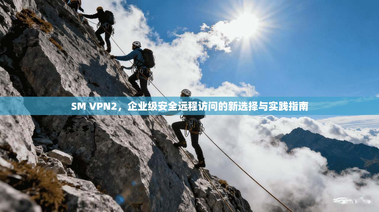 SM VPN2，企业级安全远程访问的新选择与实践指南