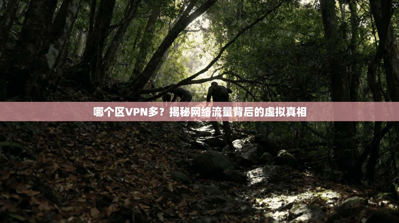 哪个区VPN多？揭秘网络流量背后的虚拟真相