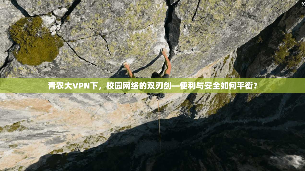 青农大VPN下，校园网络的双刃剑—便利与安全如何平衡？