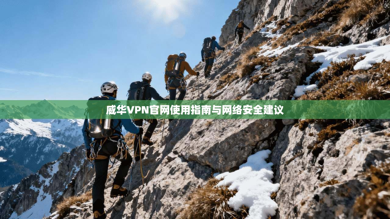 威华VPN官网使用指南与网络安全建议