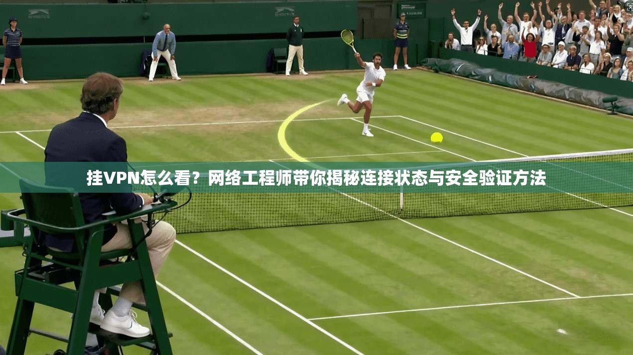 挂VPN怎么看？网络工程师带你揭秘连接状态与安全验证方法