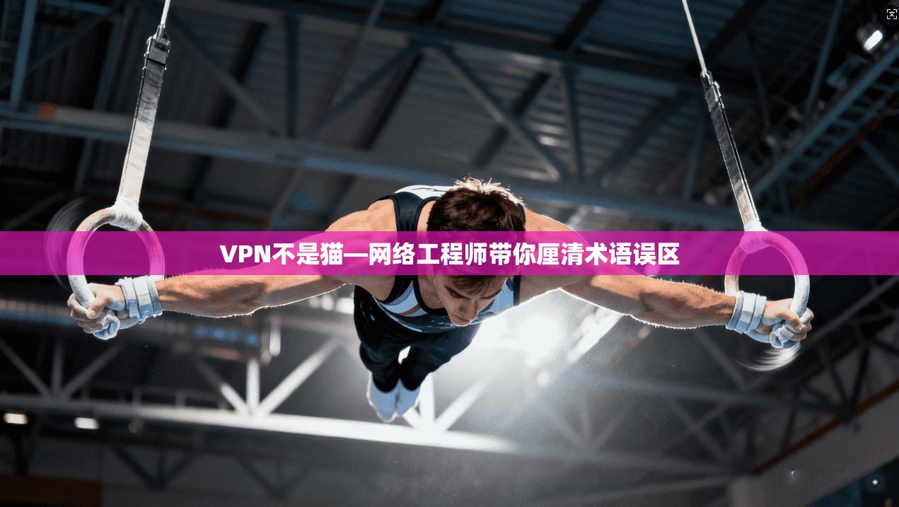 VPN不是猫—网络工程师带你厘清术语误区