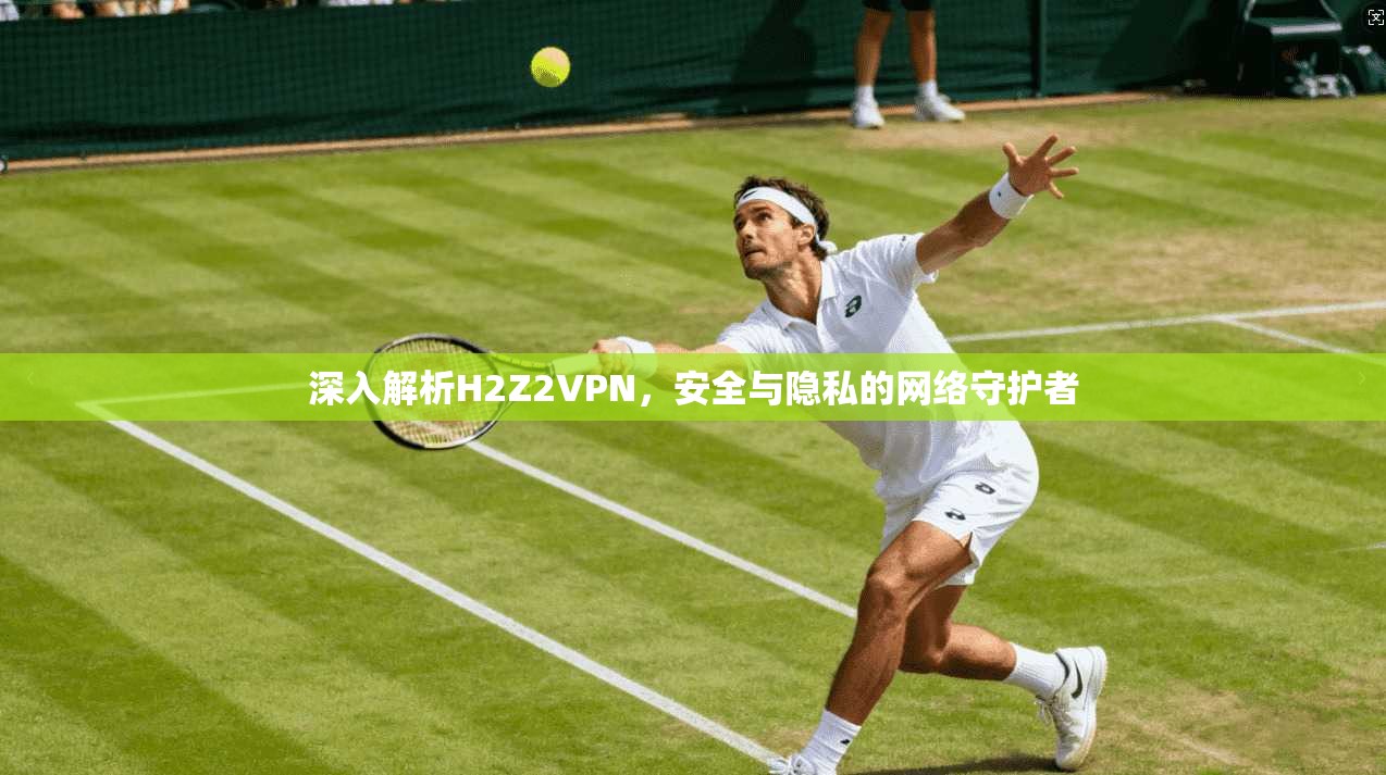 深入解析H2Z2VPN，安全与隐私的网络守护者