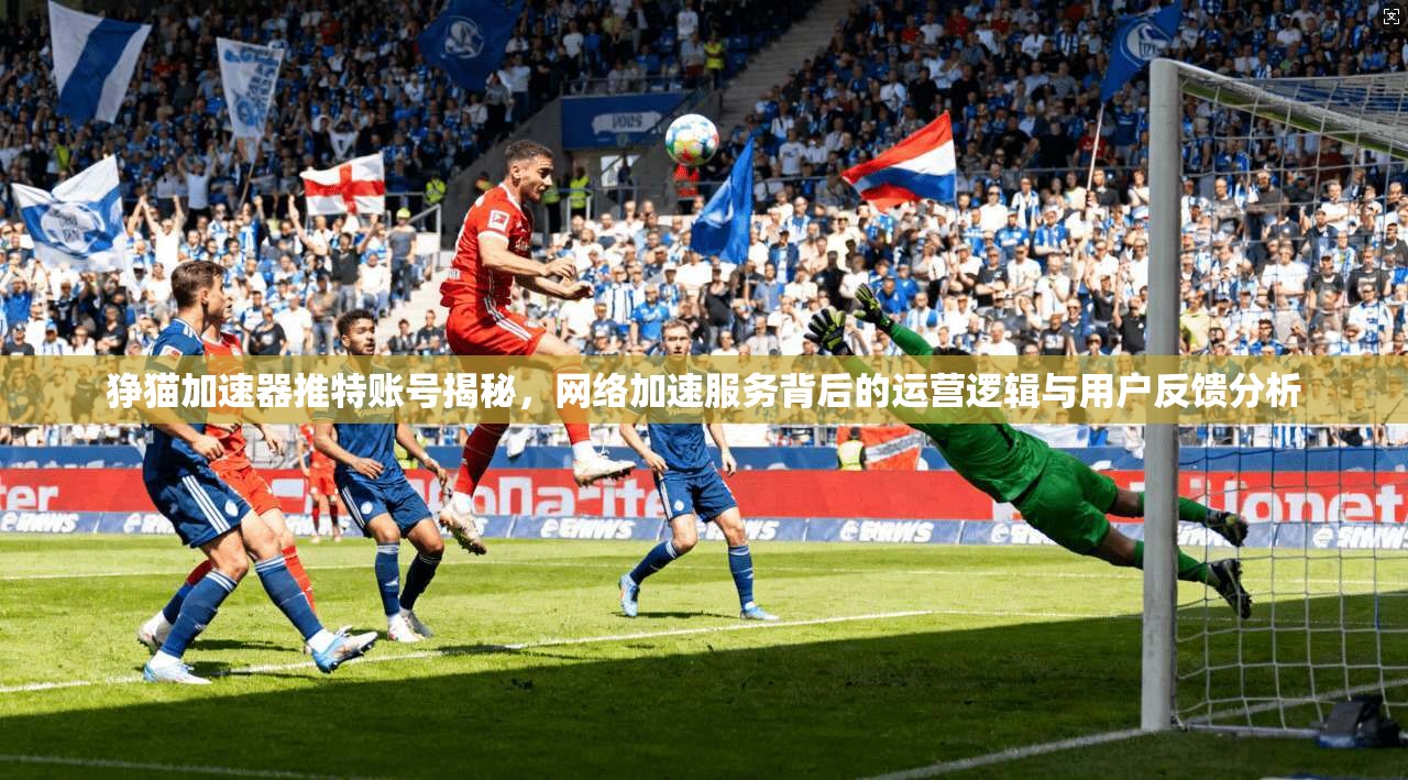 狰猫加速器推特账号揭秘,网络加速服务背后的运营逻辑与用户反馈分析