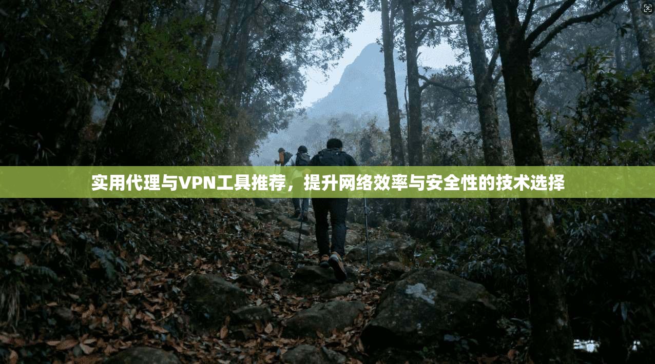 实用代理与VPN工具推荐，提升网络效率与安全性的技术选择
