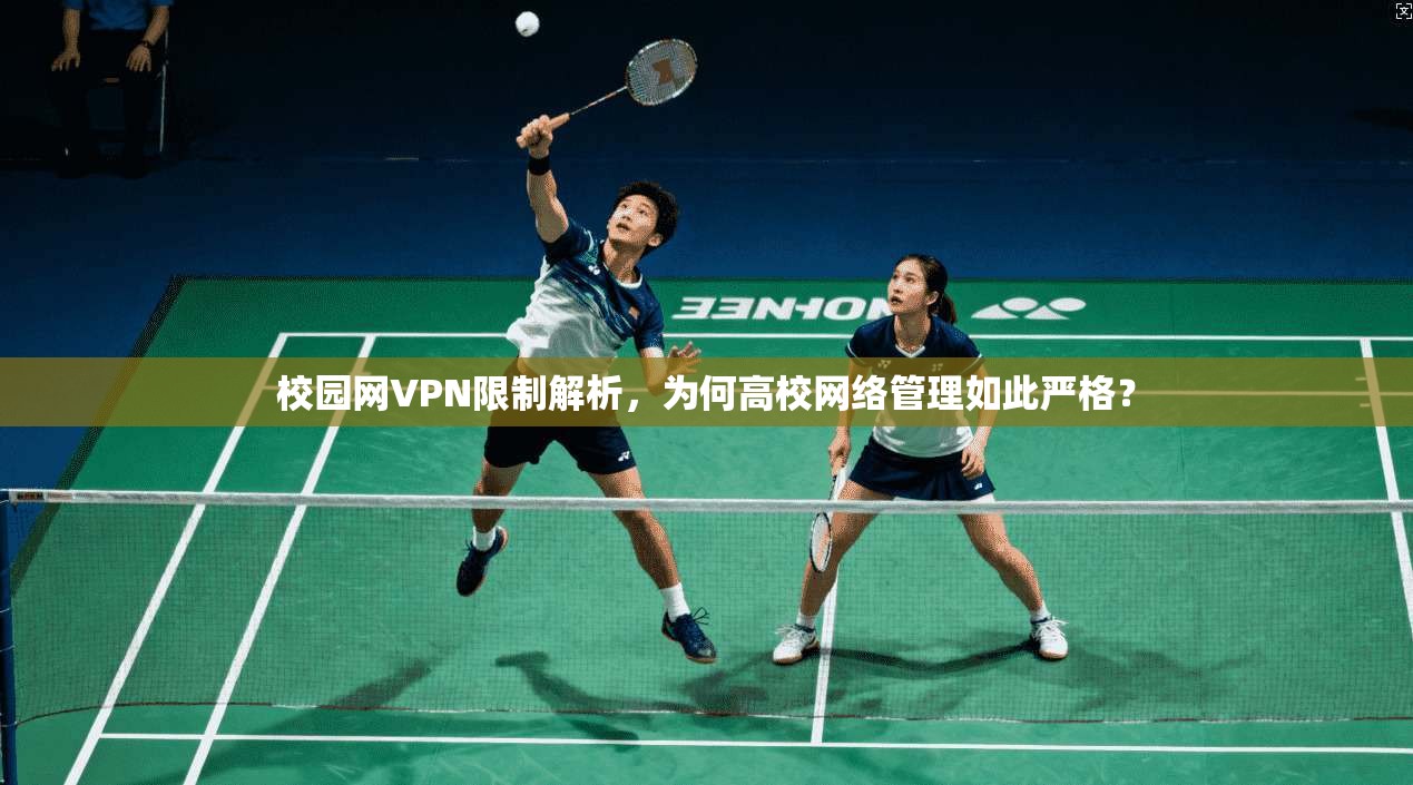 校园网VPN限制解析,为何高校网络管理如此严格?