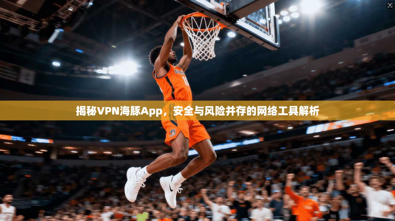 揭秘VPN海豚App，安全与风险并存的网络工具解析