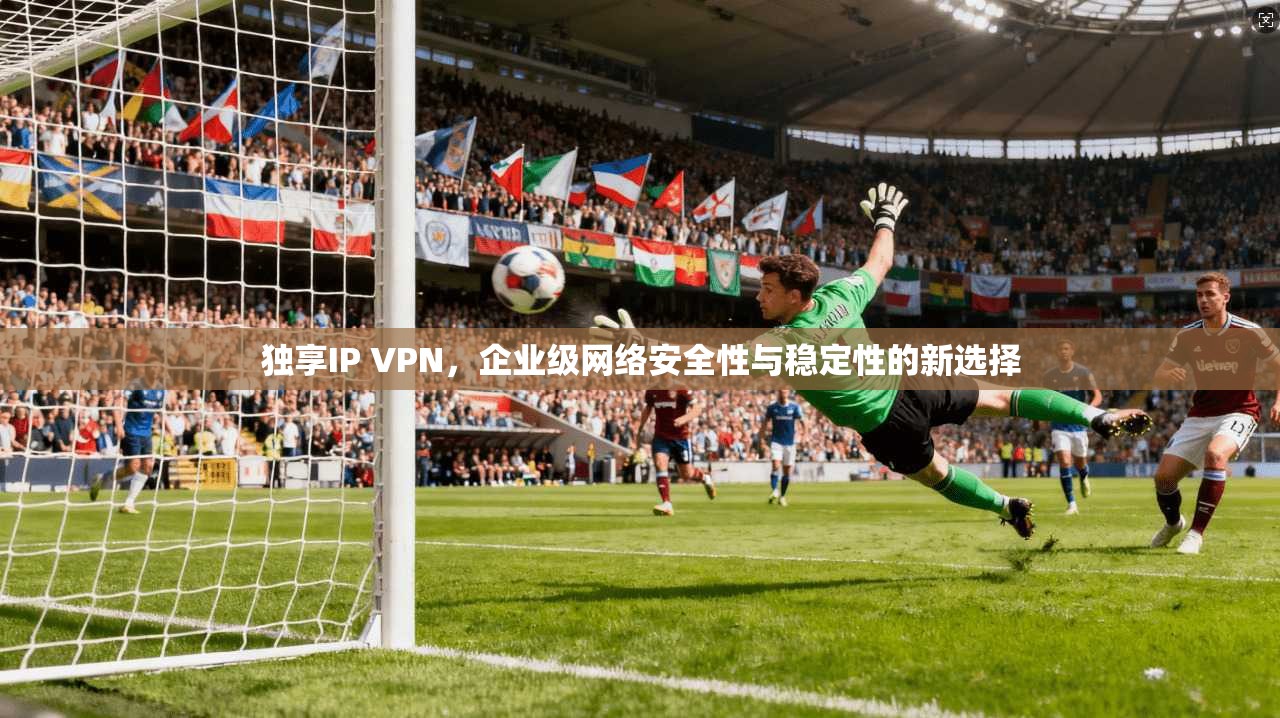 独享IP VPN，企业级网络安全性与稳定性的新选择
