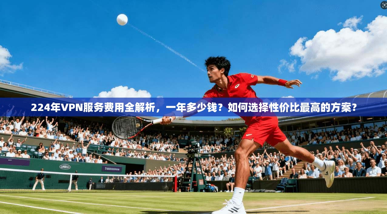224年VPN服务费用全解析，一年多少钱？如何选择性价比最高的方案？