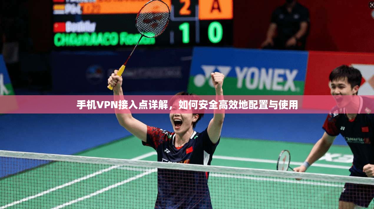 手机VPN接入点详解，如何安全高效地配置与使用