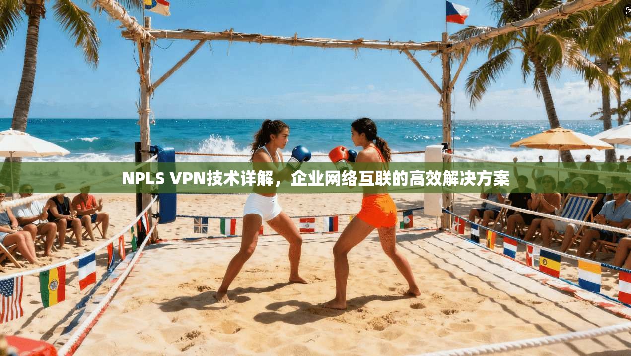 NPLS VPN技术详解，企业网络互联的高效解决方案