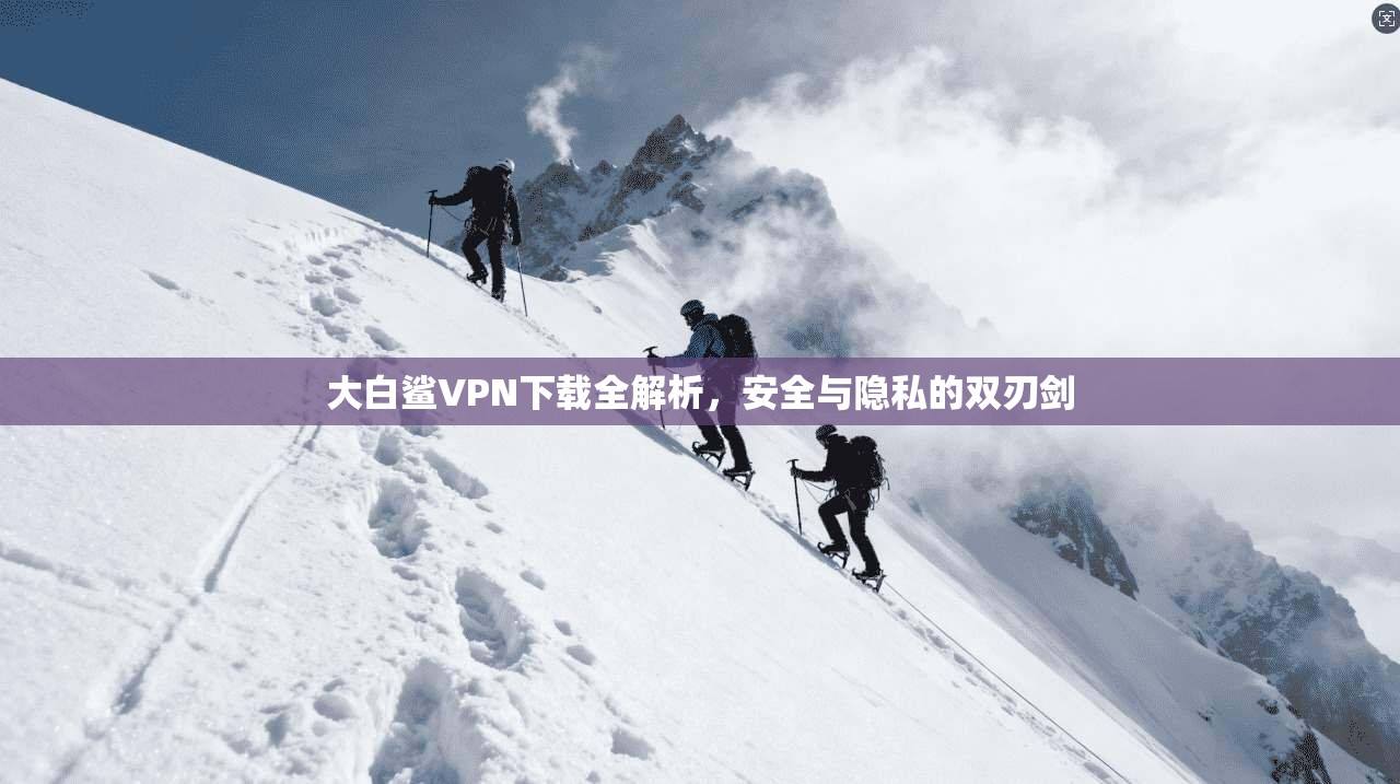 大白鲨VPN下载全解析，安全与隐私的双刃剑