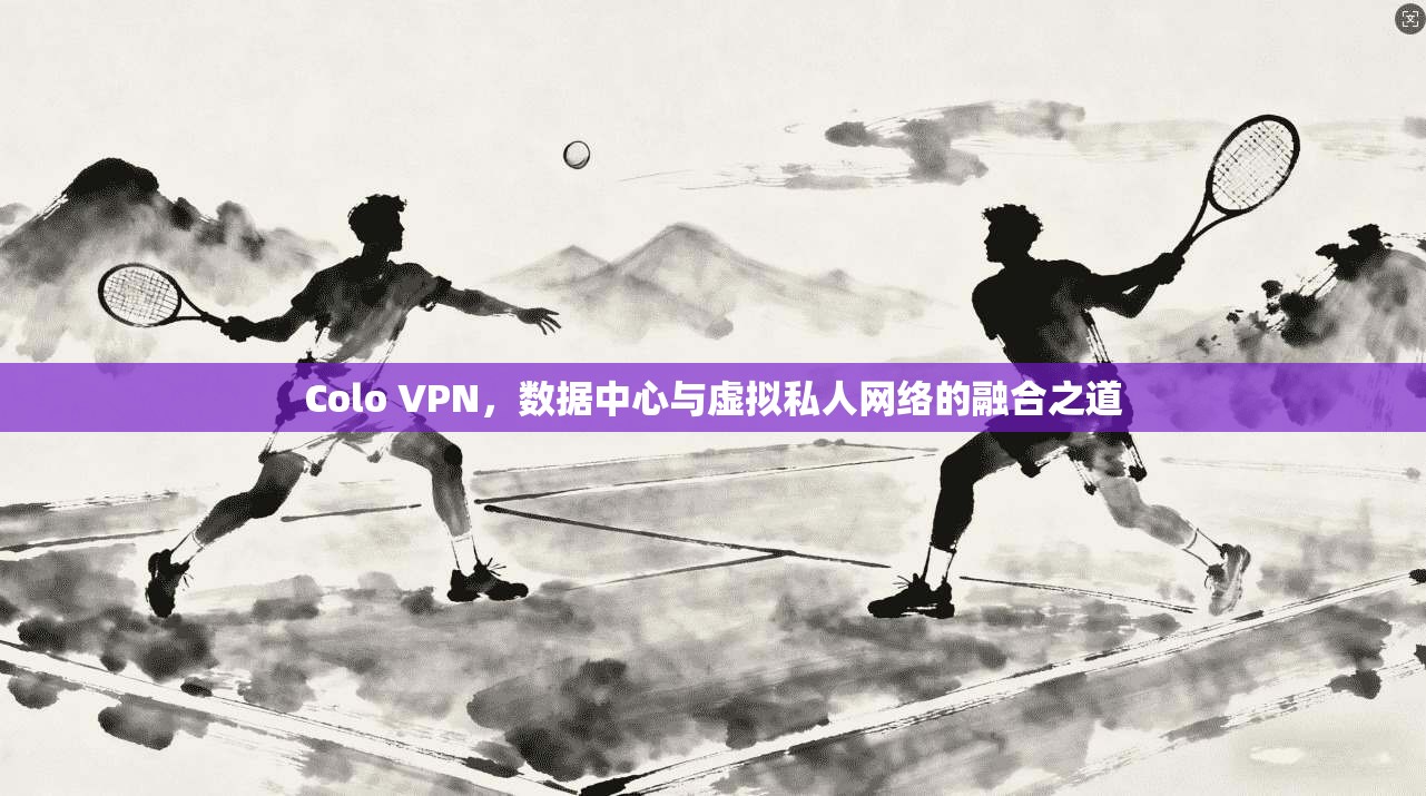Colo VPN，数据中心与虚拟私人网络的融合之道