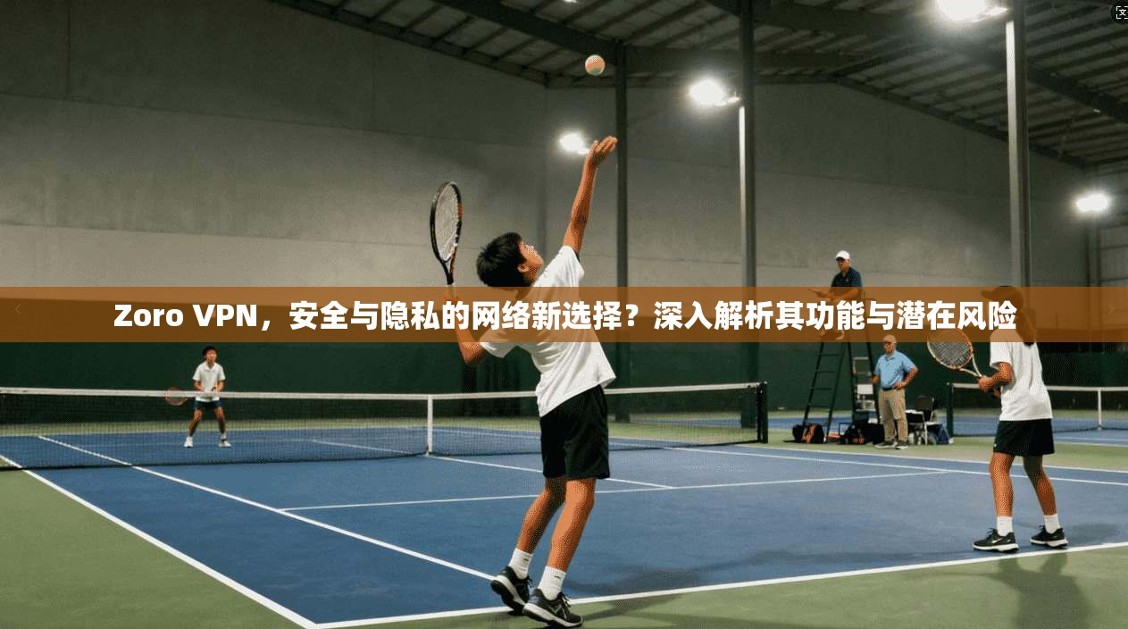Zoro VPN，安全与隐私的网络新选择？深入解析其功能与潜在风险