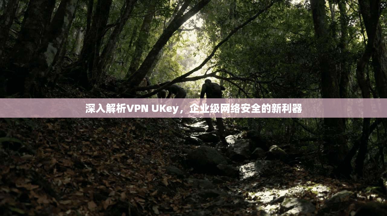 深入解析VPN UKey，企业级网络安全的新利器