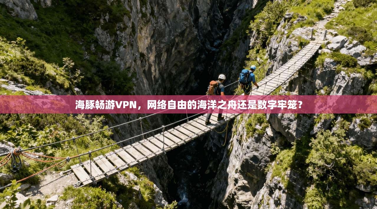 海豚畅游VPN，网络自由的海洋之舟还是数字牢笼？