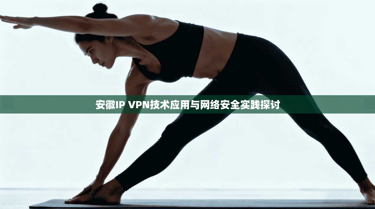 安徽IP VPN技术应用与网络安全实践探讨