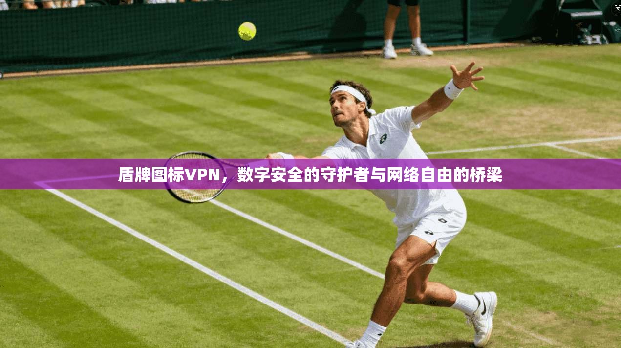 盾牌图标VPN,数字安全的守护者与网络自由的桥梁