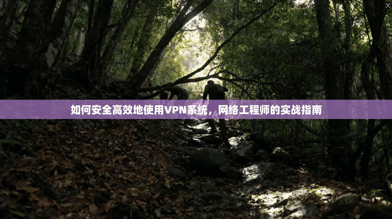 如何安全高效地使用VPN系统，网络工程师的实战指南