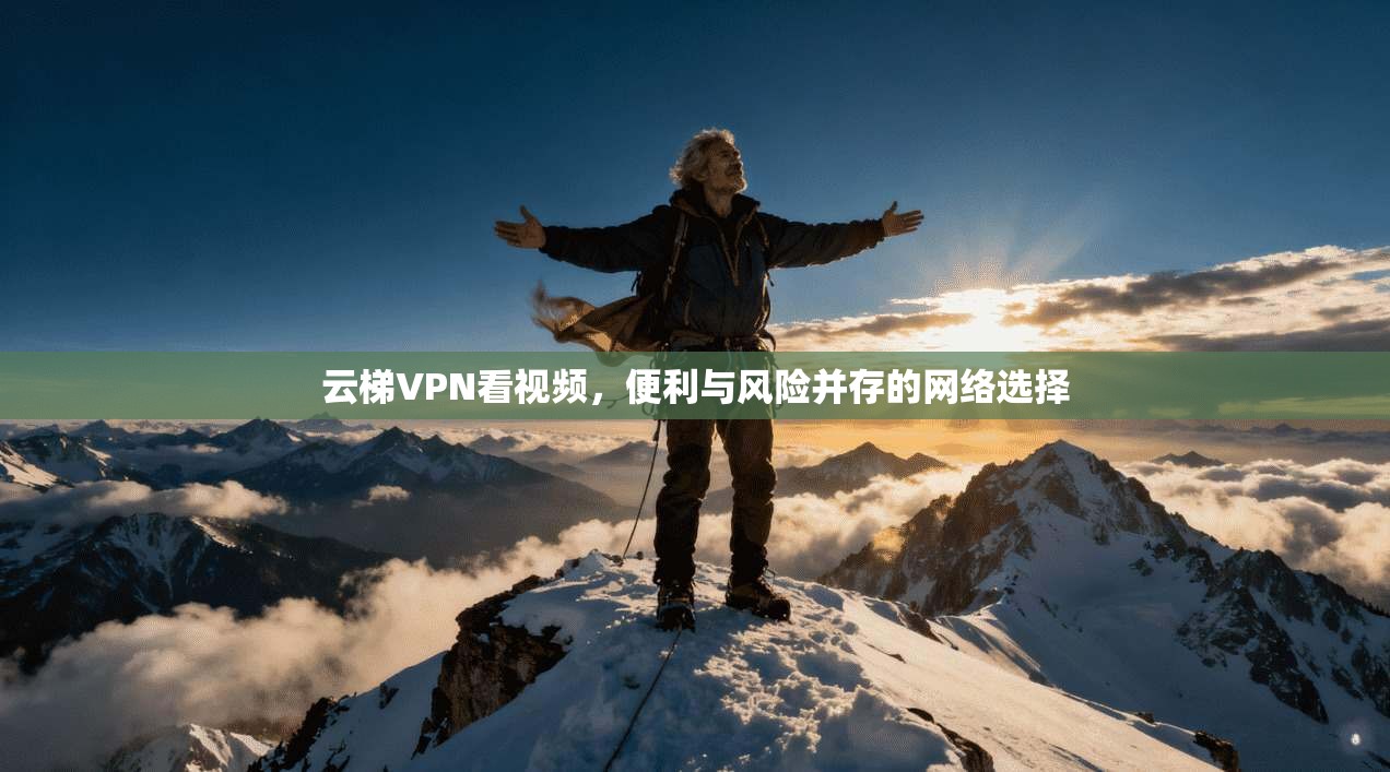 云梯VPN看视频，便利与风险并存的网络选择