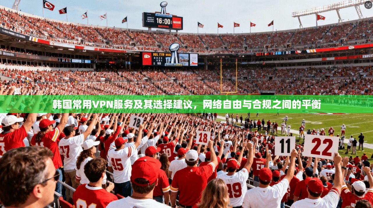 韩国常用VPN服务及其选择建议，网络自由与合规之间的平衡