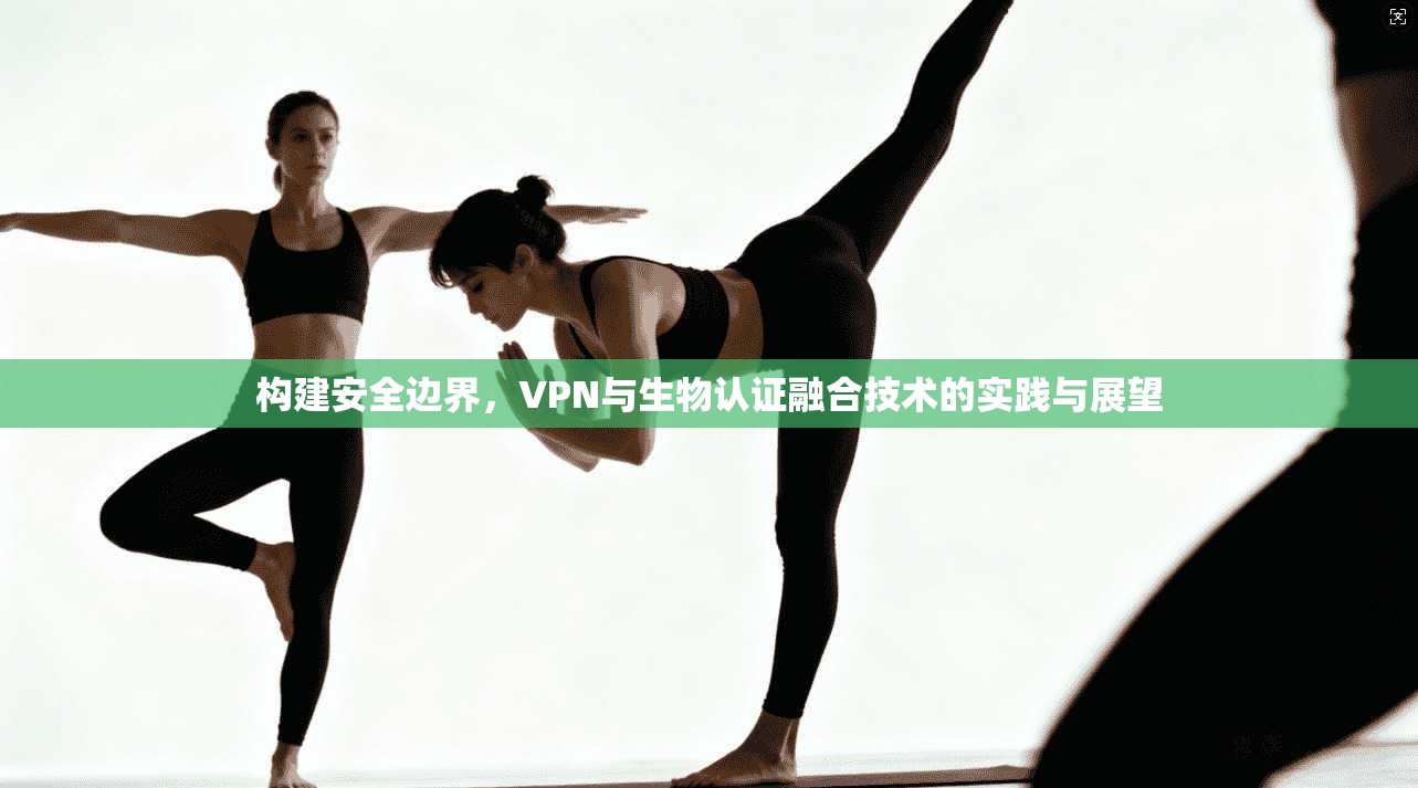 构建安全边界,VPN与生物认证融合技术的实践与展望