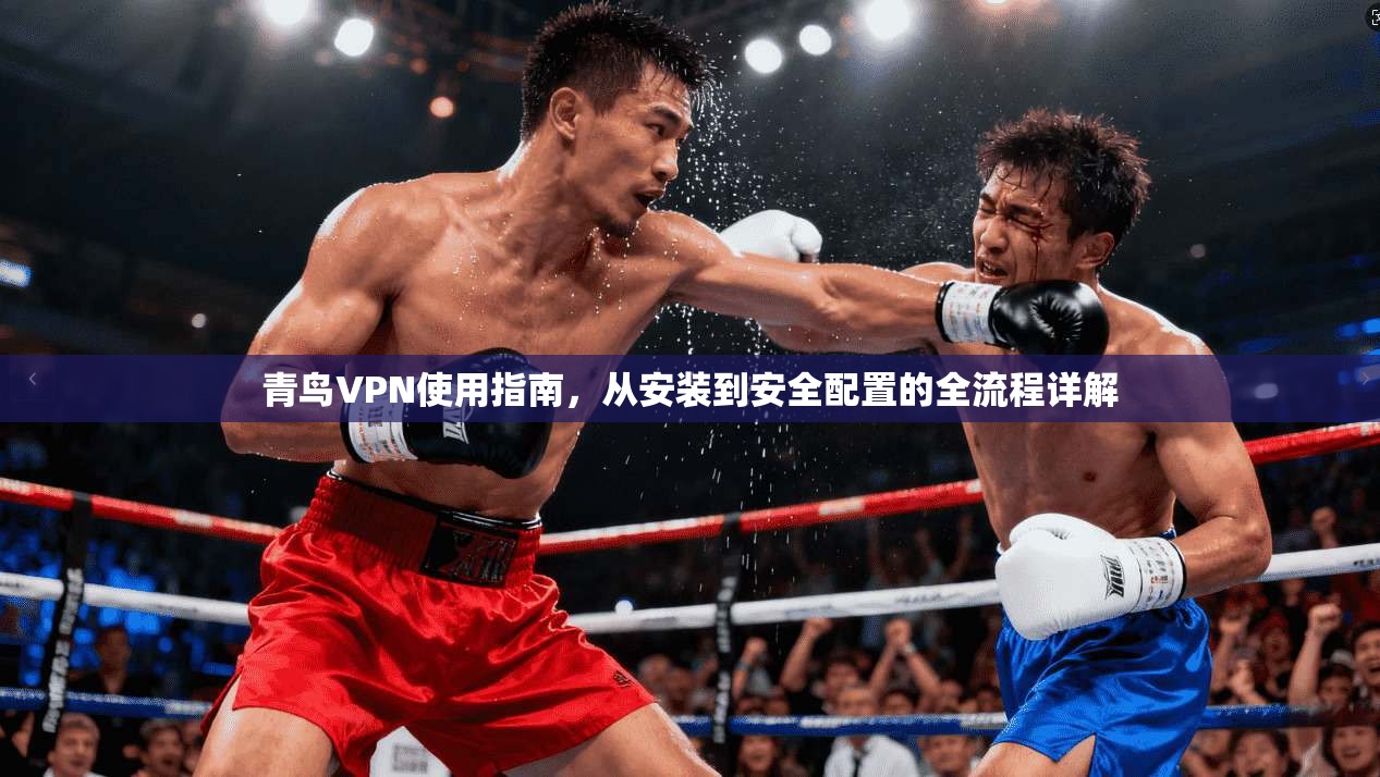 青鸟VPN使用指南，从安装到安全配置的全流程详解