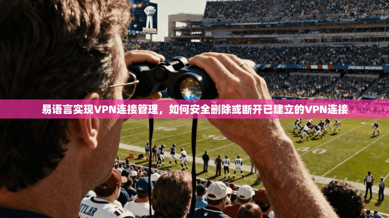 易语言实现VPN连接管理，如何安全删除或断开已建立的VPN连接