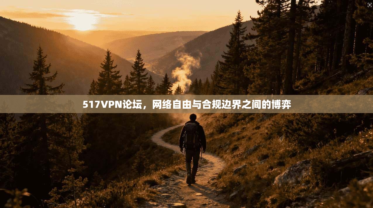 517VPN论坛，网络自由与合规边界之间的博弈
