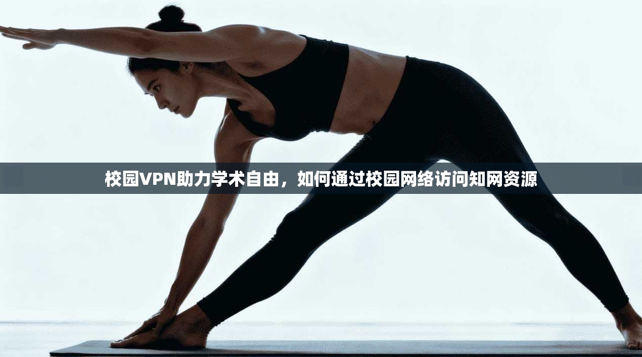 校园VPN助力学术自由，如何通过校园网络访问知网资源