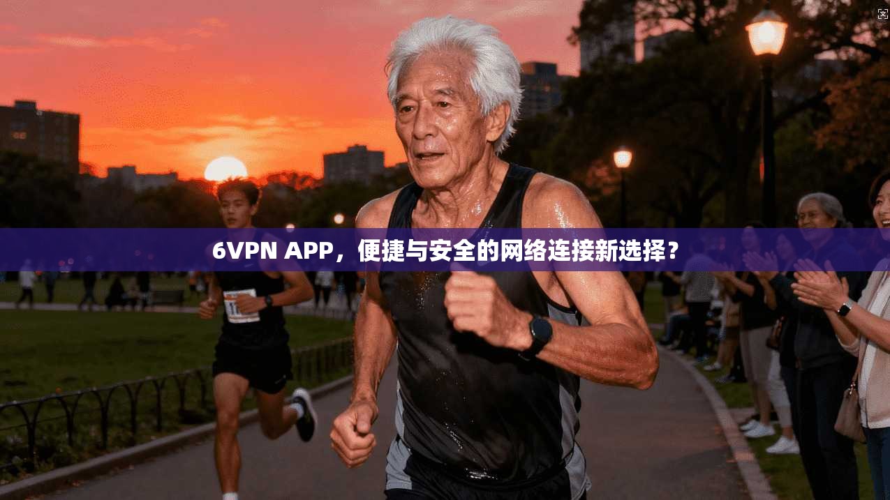 6VPN APP，便捷与安全的网络连接新选择？