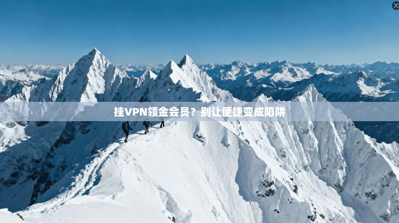 挂VPN领金会员？别让便捷变成陷阱