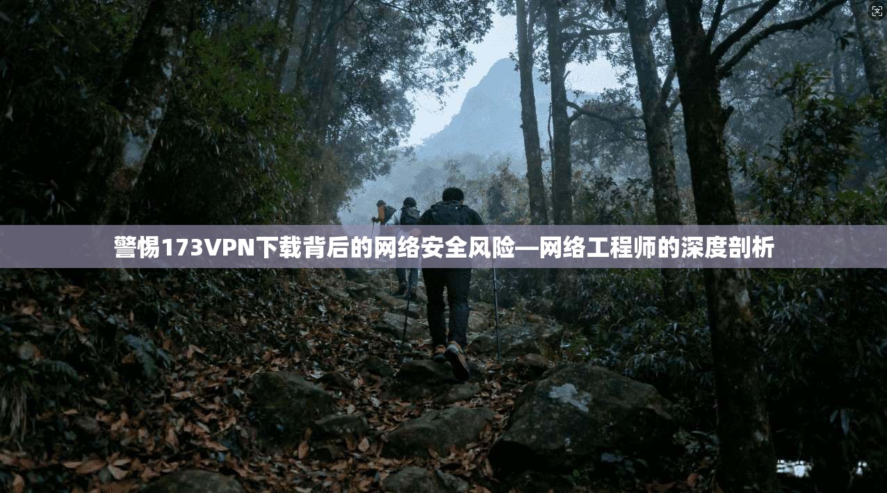 警惕173VPN下载背后的网络安全风险—网络工程师的深度剖析