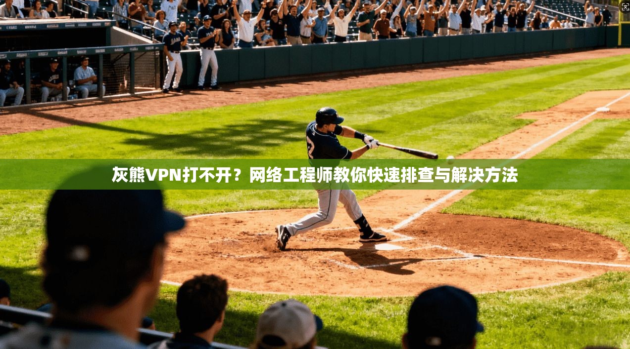 灰熊VPN打不开？网络工程师教你快速排查与解决方法