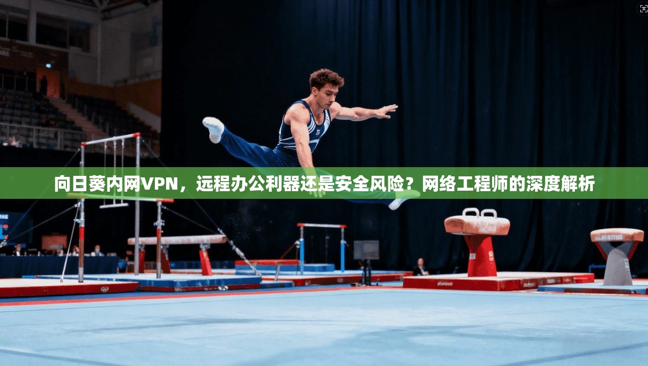向日葵内网VPN，远程办公利器还是安全风险？网络工程师的深度解析